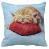 Simpatico Cuscino Gatto Domestico Dormire Bolla Nero Regalo Bambini Fodera Cuscino Divano Soggiorno Decorazione Casa Personalizzato
