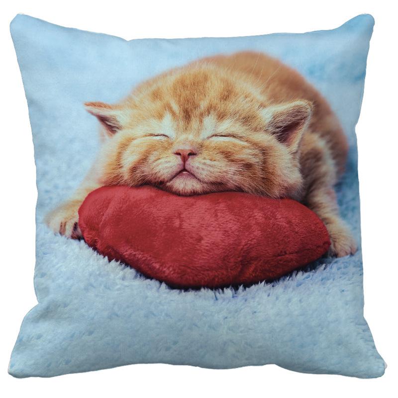 Simpatico Cuscino Gatto Domestico Dormire Bolla Nero Regalo Bambini Fodera Cuscino Divano Soggiorno Decorazione Casa Personalizzato