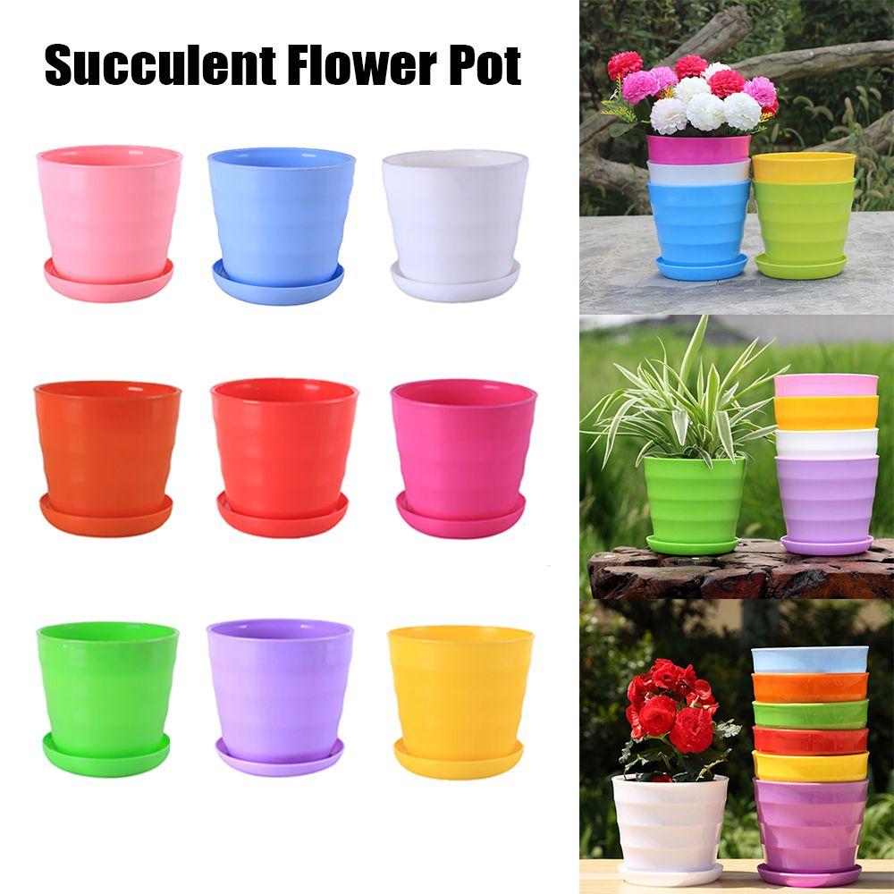 Plastic With Trays Plant Tool Mini Basin Green Plant Flower Pot Succulent Plant Flowerpot