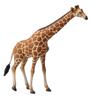 Collecta. Netzgiraffe