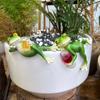 Frog Garden Statue Planter Hugger Drinking Frog Flower Pot Edge
