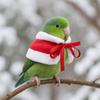 Windproof Parrot Christmas Cape Warm Pet Cosplay Clothing Adorable Hamster Cloak  Christmas