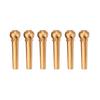 6PcsSet Durable Brass Guitar Bridge Pins for Folk Guitars Replacement Parts(Gold)