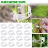 Agrafe pentru plante Suportă conexiuni din plastic reutilizabile Fixarea tulpinilor de viță de vie Altoire de tulpini de roșii Plante de legume Unelte pentru livadă și grădină