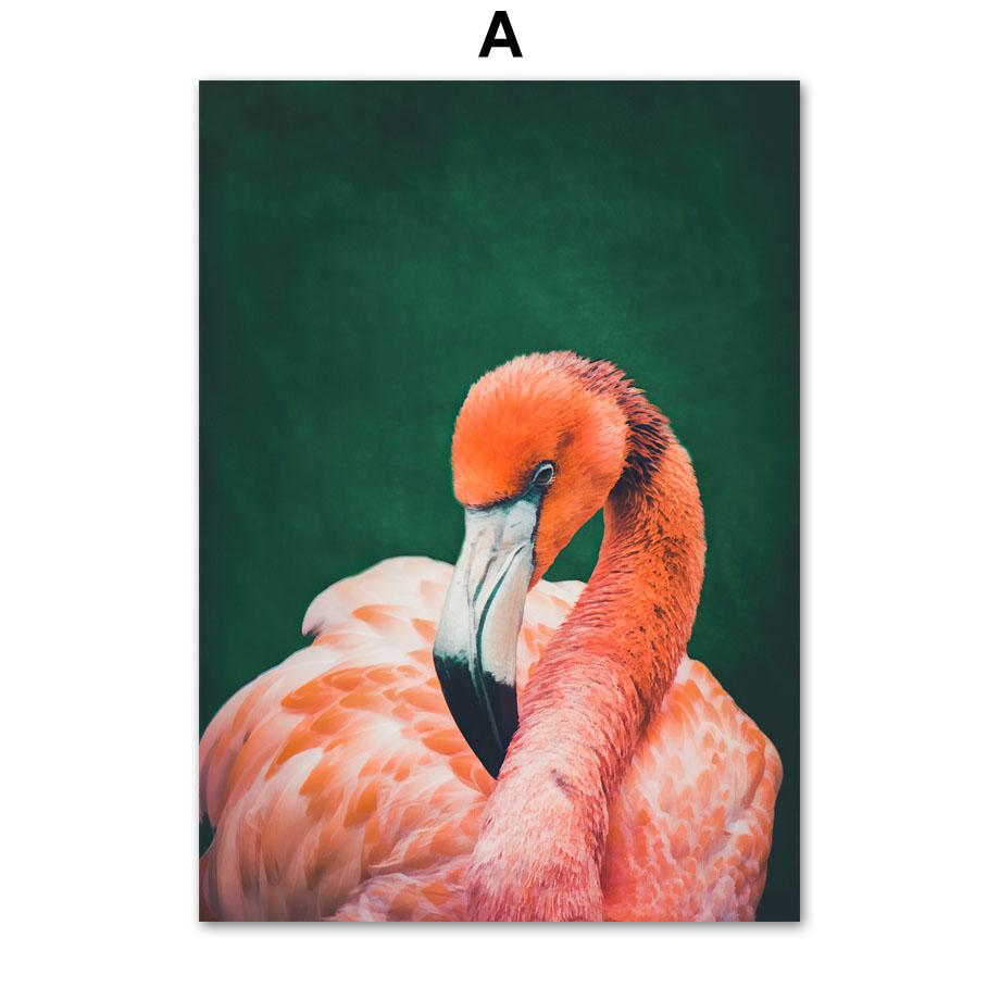 Macaw Flamingo Giraffe Tiger Peacock Tropical Animals Nordic Posters And Prints Wall Art Canvas Painting Home Room Decor