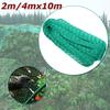Filet de protection anti-oiseaux 2m / 4m x 10m, filet pour arbres, cultures fruitières, plantes, étang de jardin, maille