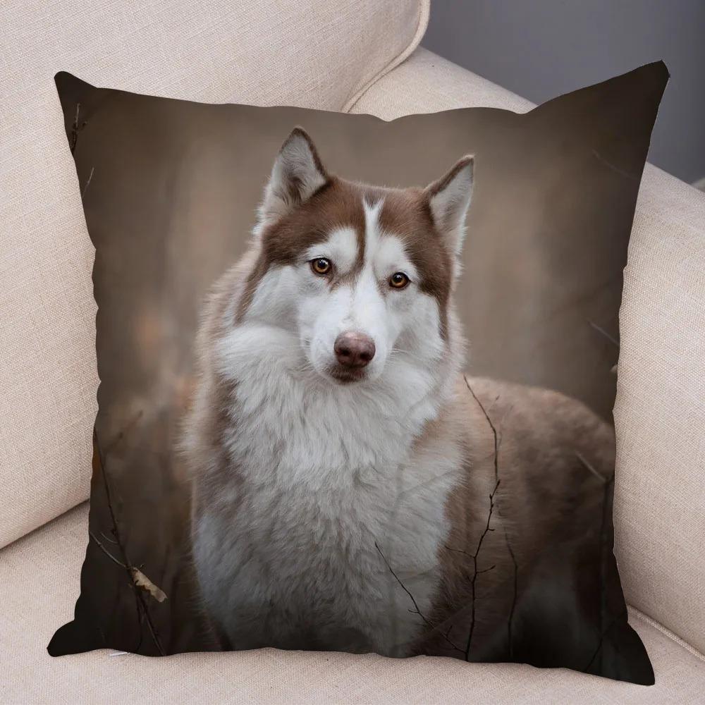 Pc Realistic Siberian Husky Print Pillowcase Set Polyester NonEmbroidery Cushion Covers for Sofa Bed Dog Lover Home Decor