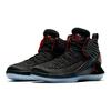 Jordan XXXII Día MJ GS AA1254-001