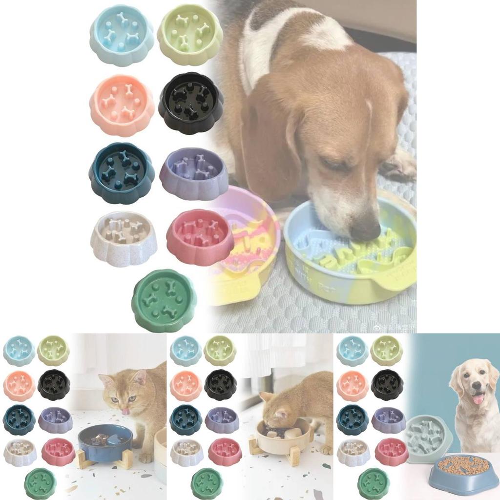 Pet Safe Slow Feed Bowl For Small Dogs And Cats With Anti Spill Design