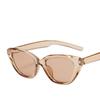 Cat Eye Sunglasses Versatile Fashion Sunglasses Street Photo Personalized Sunglasses