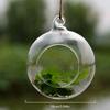 8/10/12cm Transparante Glazen Kaarsenhouder Bloem Hangende Bol Vaas Terrarium Theelicht Kandelaar Voor Thuis Bruiloft Feest Decor