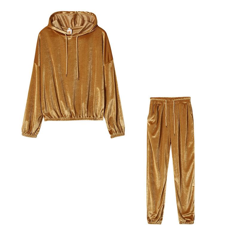 Velvet Material Women 2 Piece Set Casual Sport Outfits Tracksuit Hoodies Sweatshirt+Pants Spring Sportswear Running Sets