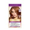 Excellence Hair Dye R Cream Type 8WB