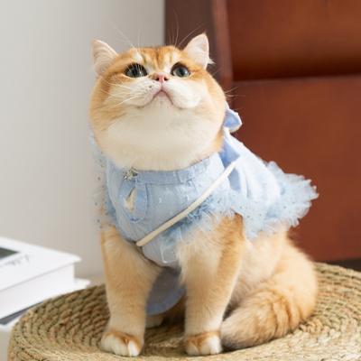 25 Years Ins Wind Cat Clothes Spring and Summer Quiet Pastoral Cat Vest Hairless Cat Kitten Pet Clothes