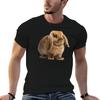 Brown Holland Lop Bunny Tshirt Basic Solid Tee For Daily Use