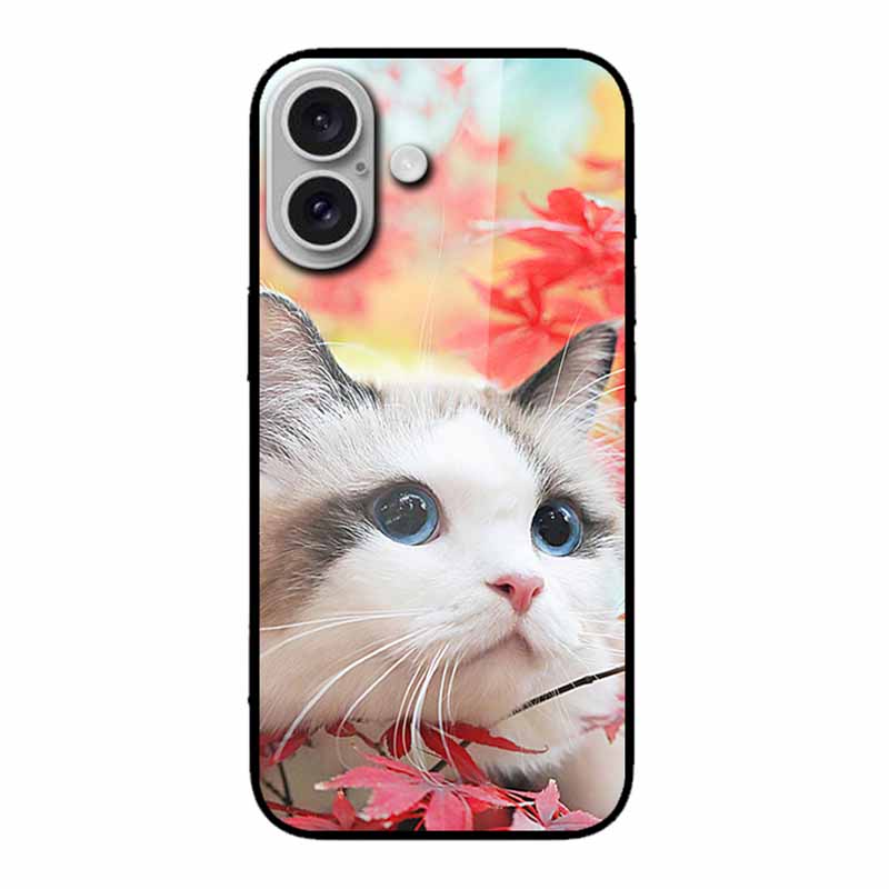 Glas Hülle Für iphone 16 Plus 16Plus Hülle Gehärtetes Glas Harte Rückseite Hülle Für iphone 16 Plus Handyhülle Weiches TPU Schwarzer Stoßfänger