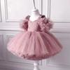 Rochie Fetiță Prințesă Rochie Botez Bebeluș Dantelă Tulle Petrecere de Ziua de Naștere