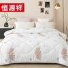 Hengyuanxiang Soft All-Season Dual-Purpose Quilt