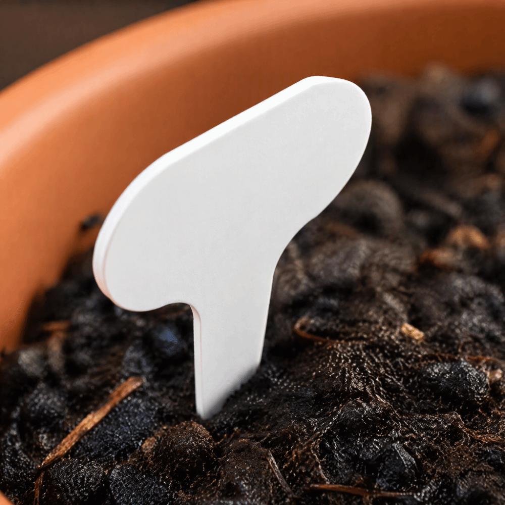 100pcs 5x7cm Plant Labels White Garden Labels Durable T-Shape Tags  Indoor Gardening