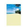 Summer Seaside Beach Photography Backdrop Tropical Ocean Palm Tree Sand Scenic Background for Photo Studio Portrait Video Shoot Party Decor Props