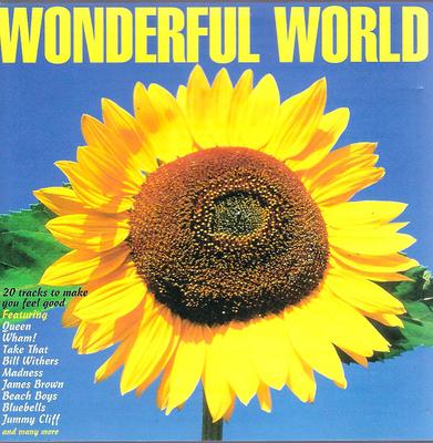 CD VARIOUS - Wonderful World  DINCD89 Dino Entertainm 1994 UK Rock Used