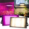Vollspektrum LED Grow Light 50W 100W Imitierte Sonnenlicht-Phytolampe für die Hydrokultur-Pflanzenwachstumsbeleuchtung im Gewächshaus