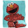 Painted Elmo Blanket