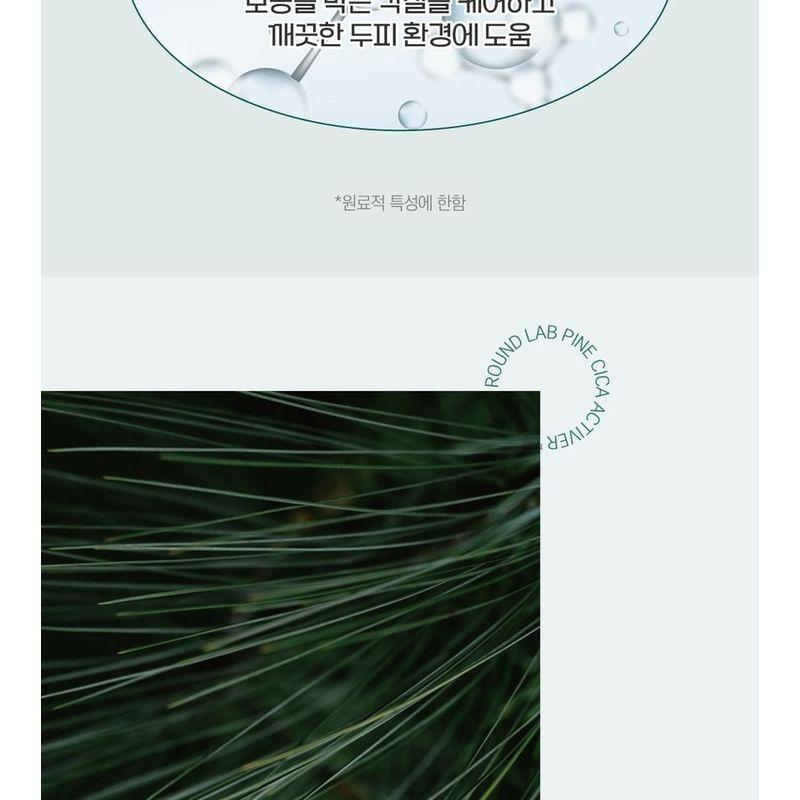 ROUND LAB - Pine Calming Cica Shampoo