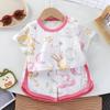 2 Stuks/Set Zomer Baby Set Katoen Cartoon Casual Kinderpak Babykleding Meisje Jongen T-shirt+Shorts Kinderkleding