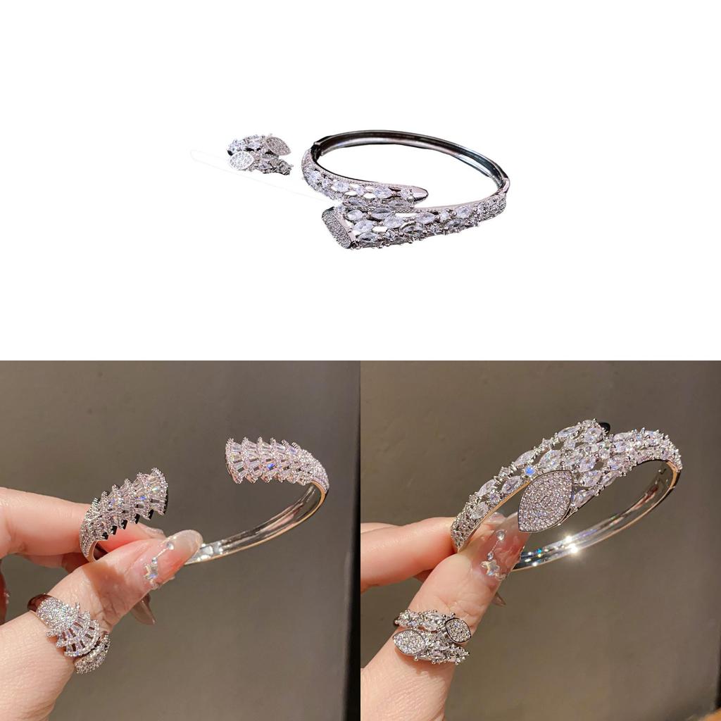Slangvormige Armband Ring Set Met Zirkonia Voor Mode Vrouwen Accessoire