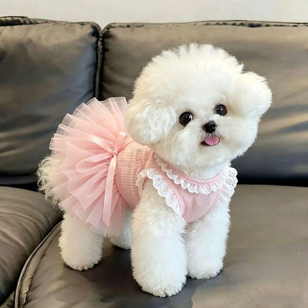 Breathable Pet Clothing Lace Tutu Puppy Skirt New Cat Dress For Small Dogs