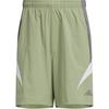 SHORT FUSTL Shorts Décontractés Homme Vert Tente JI6631
