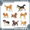 Simulated Mini Dog Animal Model Husky Golden Retriever Shiba Inu Weimaraner Desktop Static Ornament Toy