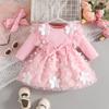 Knitted Butterfly Mesh Patchwork Dress with Ruffle Lace & Long Sleeves