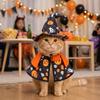 Mantello Cosplay Gatto Stampato Tema Zucca Halloween Abbigliamento Cucciolo Fotografia Festival