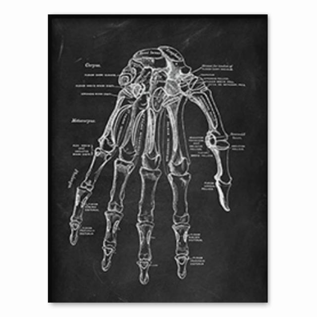 Lidská anatomie Umělecké dílo Lékařská klinika Obraz na stěně Kostra Orgán Svalový systém Vintage Obraz na plátně Výchova těla Plakát bez rámu