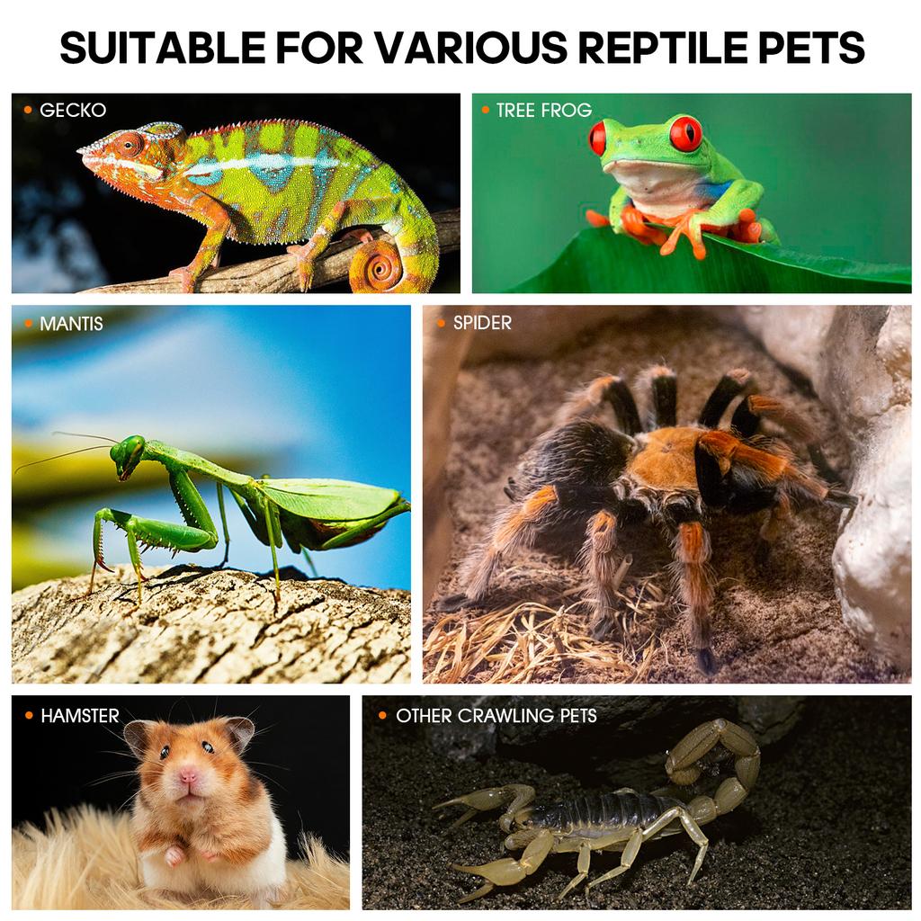 Transparent Acrylic Jumping Spider Enclosure Breeding Box Spliced Reptiles Geckos Insect Ventilated Terrarium For Tarantula