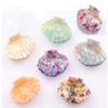 [Cute Hair Claw] Minimalist Cute Shell Design Hair Claw Banana Clip Non Slip Hairgrip Hair Accessory