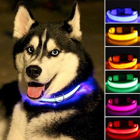 LED Dog Cat Collar, Adjustable Night Safety Flashing Light Up Pet Collar, Waterproof Glow Reflective for Small Medium Dogs Cats