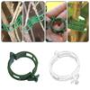 Plant Support Clips,Plant Clips For Climbing Plants Tomato Garden Vine Clips For Supporting Vegetables Plants Stalks,Vines,Climbing Plant Tomato Clips
