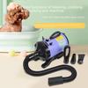 High-Power Dual-Mode Pet Hair Dryer & Blower: Suction and Blowing All-in-One for Dogs.