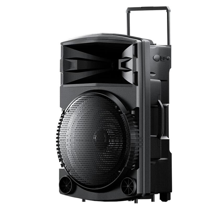 Newmine N522 Portable Trolley Speaker with Dual Mics CN Plug (adapter Included) (CN Version)