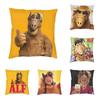 Alf Thumbs Up Cushion Cover Sofa Living Room Alien Life Form Sci Fi Tv Show Square Throw Pillow Case 45X45
