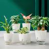 Samozavlažovací kvetináč Kvetináč s priehľadnou nádržkou Kvetináč s knôtovými šnúrkami A drenážnymi otvormi pre orchidey africké fialky sukulenty izbové rastliny