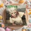 D-Dr.Stone Anime Cushion Cover Plush Fabric Soft Double-Sided Printed Sofa Warm Winter Home Gift Pillow Cover