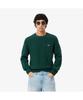 LACOSTE Men'S Rib Knit Wool Pullover Ah3142-54N Yzp