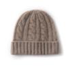Cashmere Hat Autumn and Winter New Style Women's Fashion Casual Ear Protection Pile Hat Twisted Solid Color Knitted Hat
