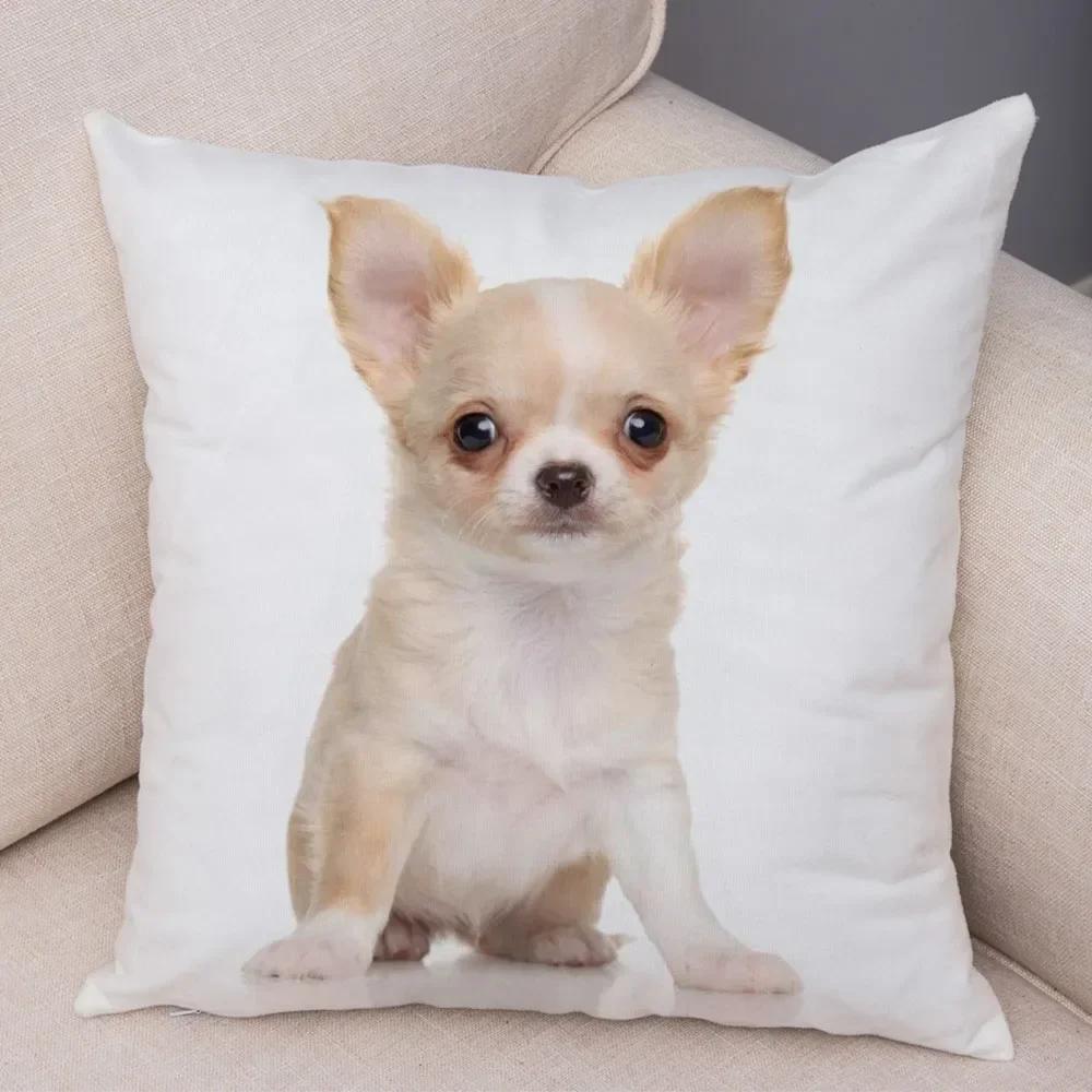 Lovely Pet Animal Pillow Case Decor Cute Little Dog Chihuahua Pillowcase Soft Plush Cushion Cover for Car Sofa Home