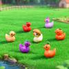 9 Pcs Funny Vegetable Duck Figurines Resin Tiny Duck Sculpture Cute Eggplant Pumpkin Onion Mini Duck Statue for Home Office Desktop Car Dashboard