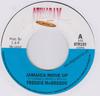 7inch Record FREDDIE MCGREGOR  Jamaica Move Up STR159 Stingray Record 2011 Unknown Reggae Ska  Dub Used